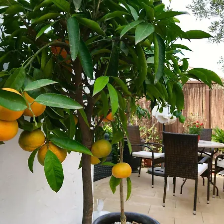 アパート Mateo *